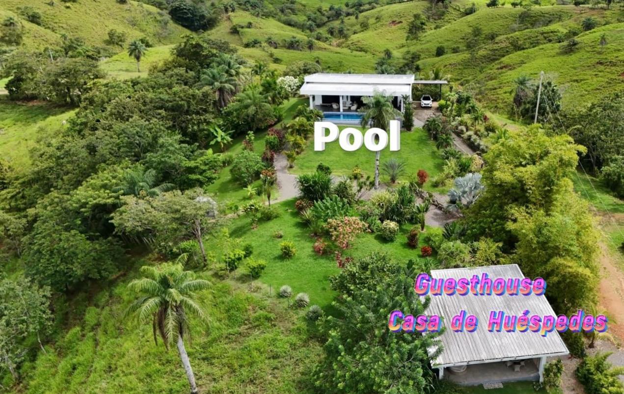 Finca Colibri Boca Chica Dış mekan fotoğraf