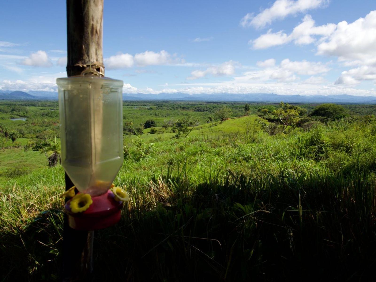 Finca Colibri Boca Chica Dış mekan fotoğraf